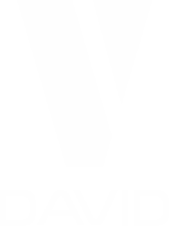 David logo