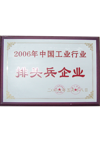 戴维医疗_2006年中国工业行业排头兵企业